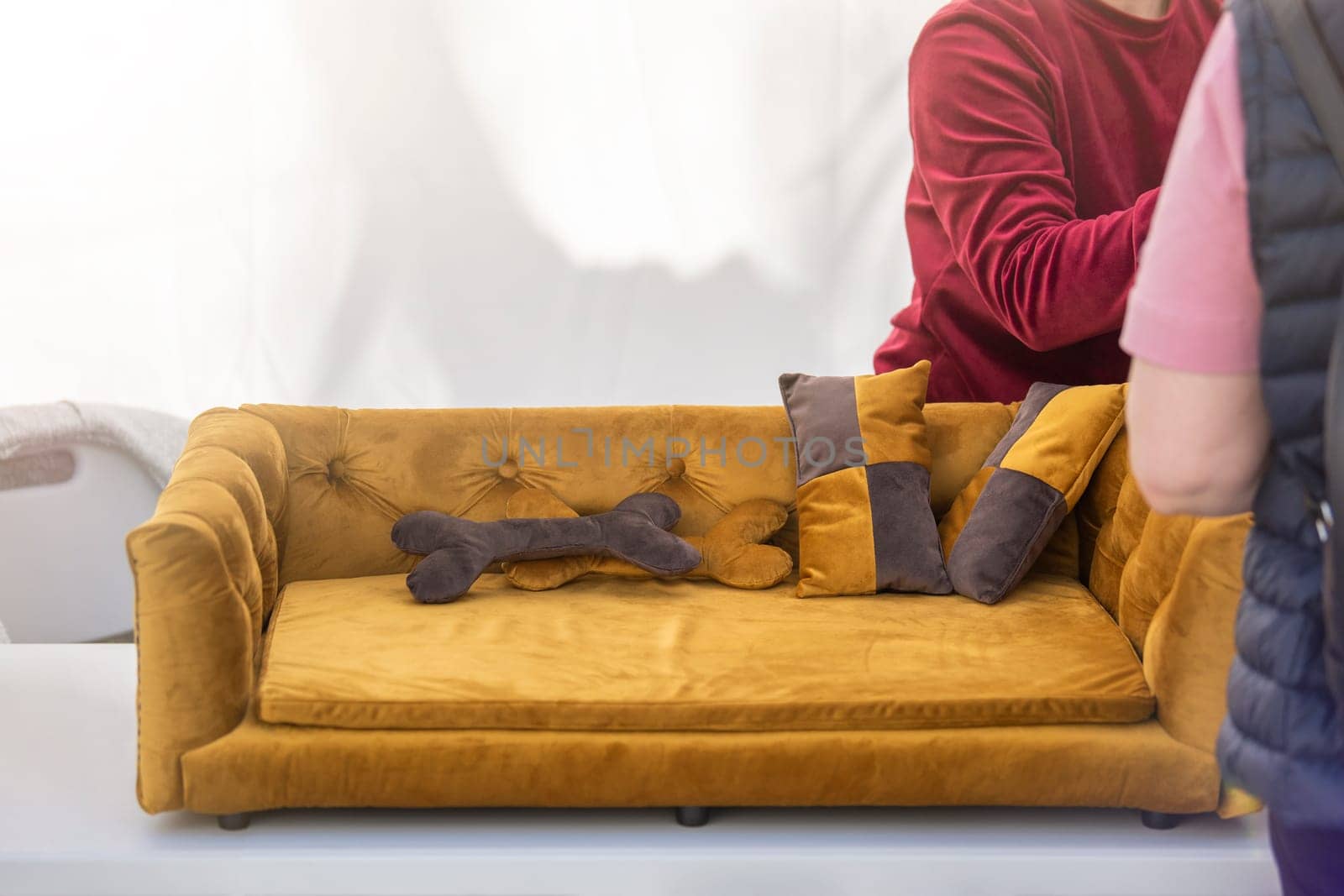 Furniture for pets. The seller advises the buyer before selling a sofa or dog bed. Plush bone as a decoration as a pillow. Small business for the production of accessories and furniture for pets. by SERSOL