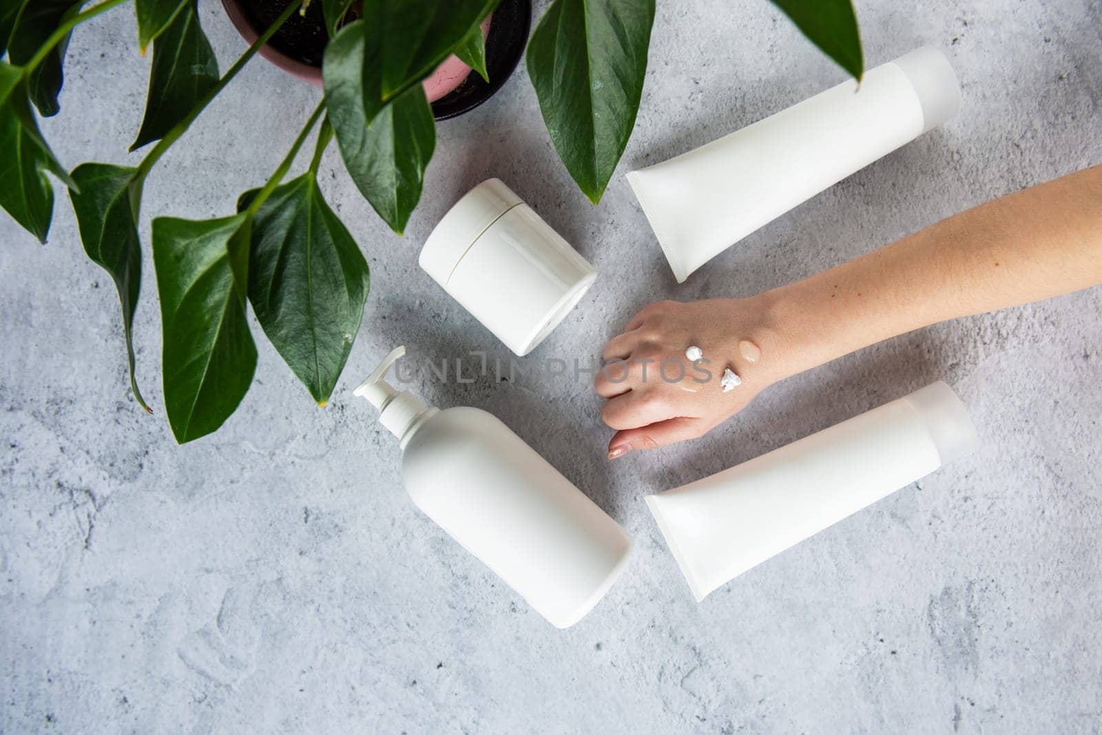 Woman apply white cream on her hands on gray background with cosmetic cream decorate with fresh green leave. Natural skincare concept.