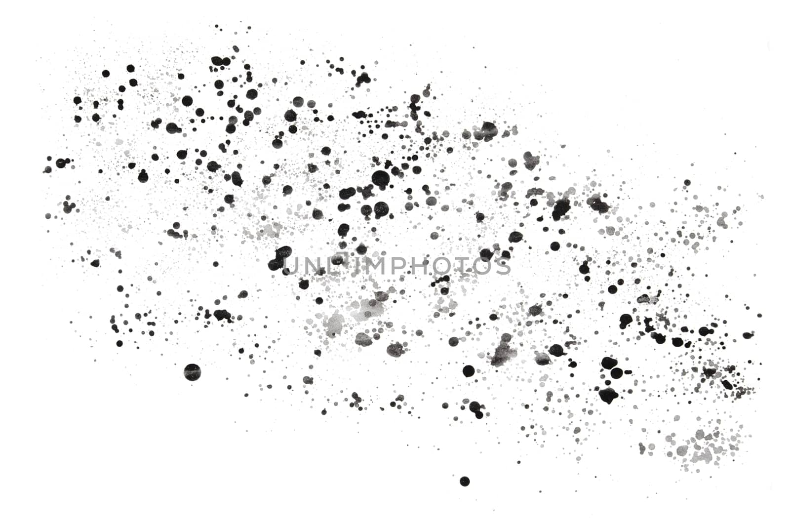 Splatter of black paint isolated on a white background. Stock photo.