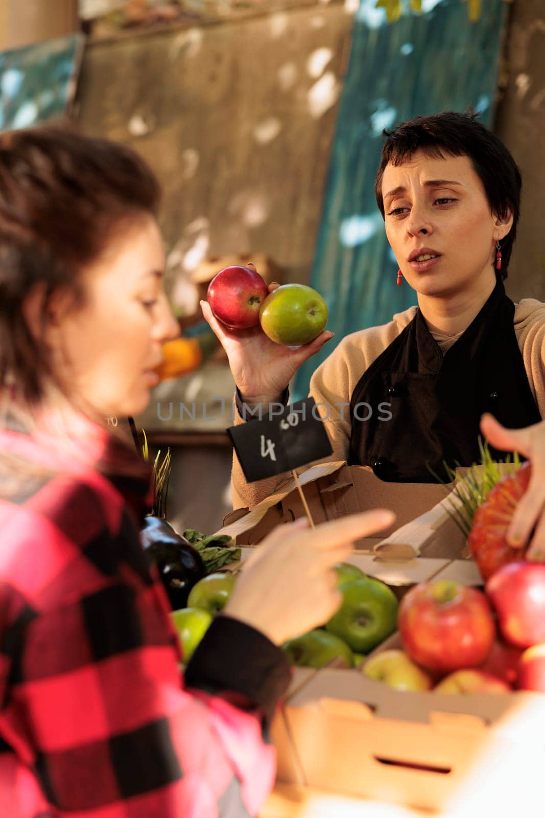 Group of women talking about local fresh farmers market produce, customer checking organic colorful fruits and veggies. Farmer and client meeting at food market stand, agricultural grocery shop.