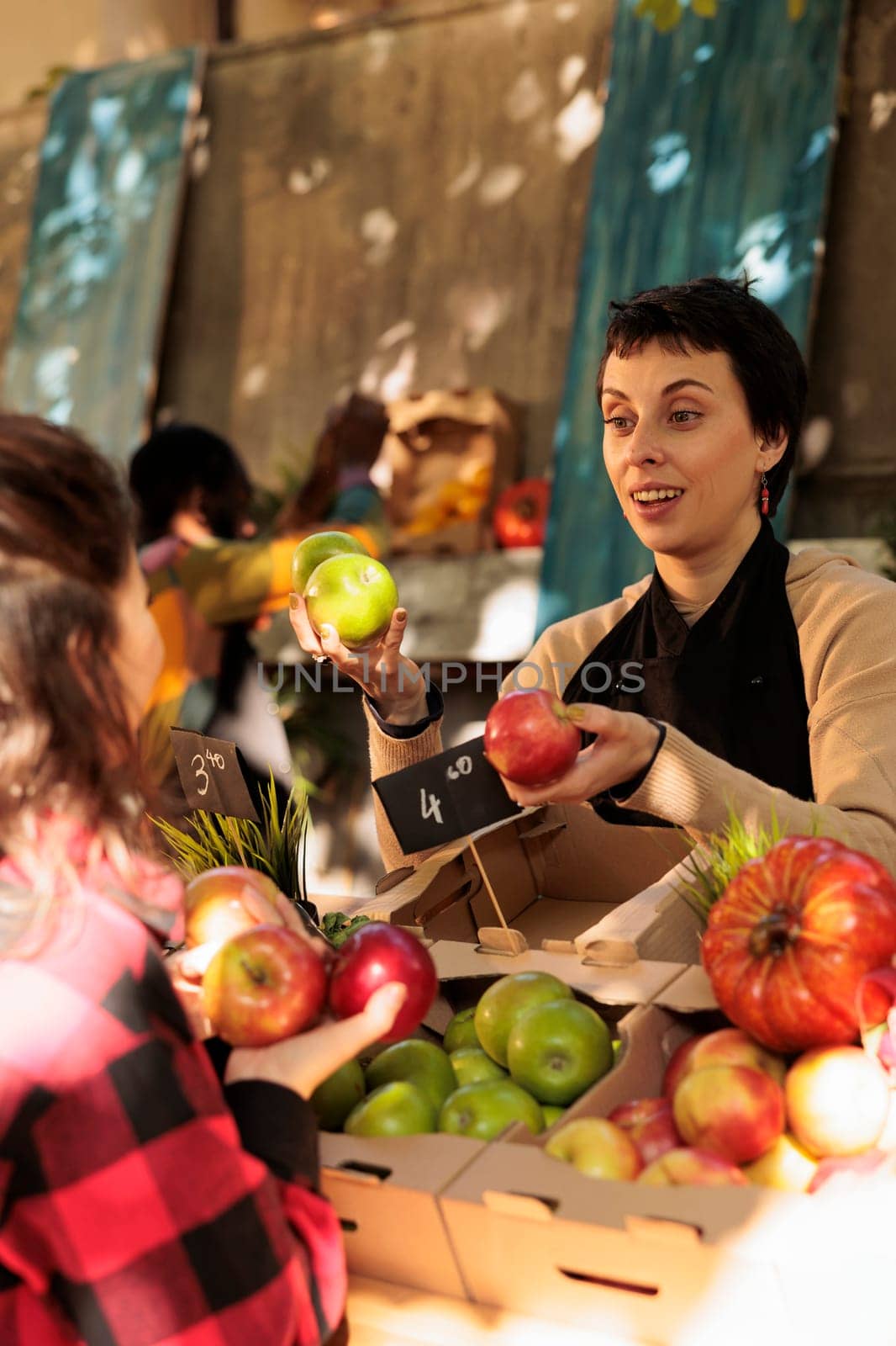 Young friendly woman local farmer selling fresh organic apples to female customer while standing behind farm produce stand at farmers market. Fruit and vegetable seller talking with consumer