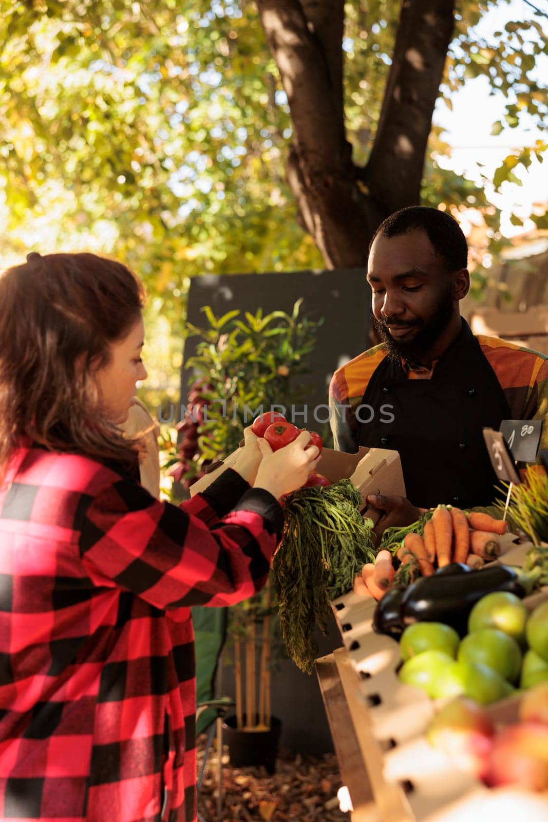 African american vendor selling organic fruits or veggies at small business farming shop, locally grown seasonal products. Female client looking at colorful fresh natural produce, farmers market.