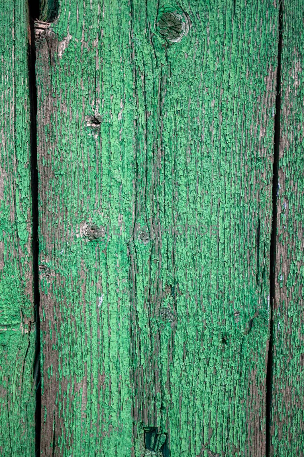 Wood texture with green flaked paint. Peeling paint on weathered wood by AnatoliiFoto