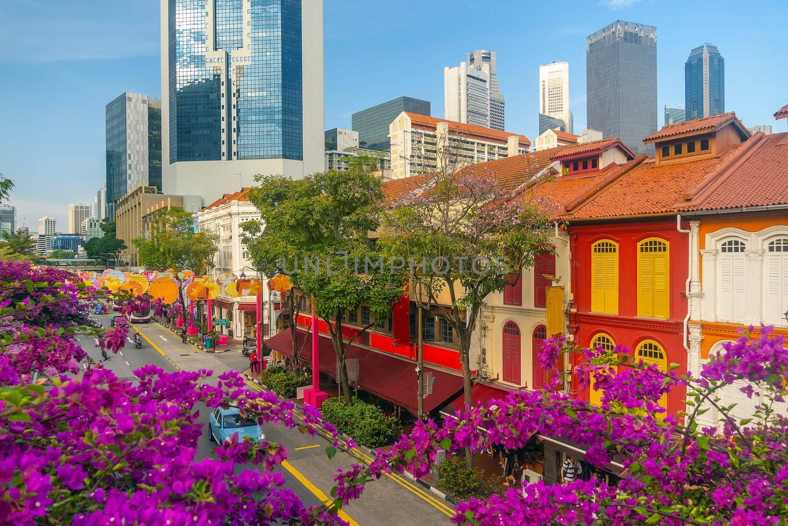 Downtown city skyline, cityscape of Chinatown Singapore with pink flower