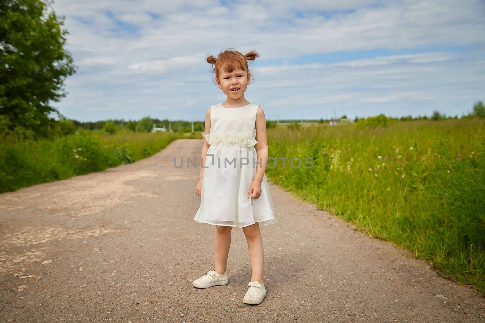 Portrait of a little girl with Asian eyes on a road in a meadow or field with grass and flowers on a sunny summer day by keleny