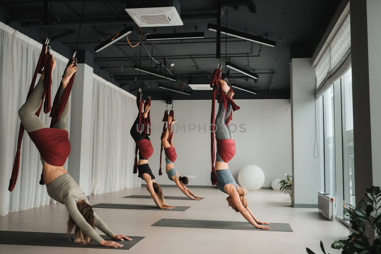 A group of women are hanging upside down on hanging hammocks. Fly yoga in the gym by Lobachad