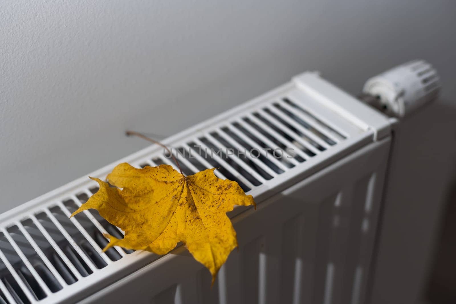dry autumn leaves on the radiator.