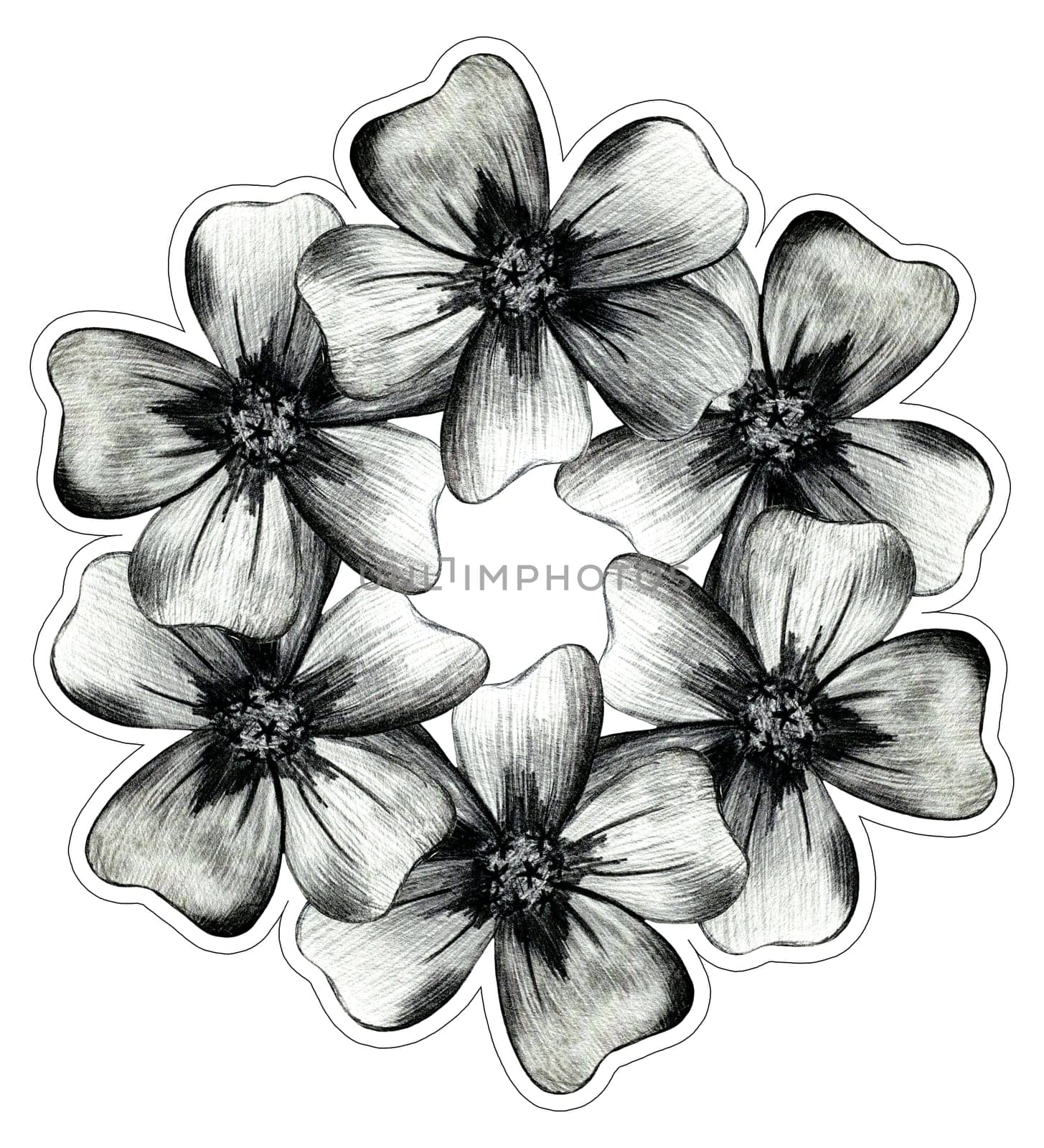 Black and White Hand Drawn Marigold Flower Round Composition. by Rina_Dozornaya