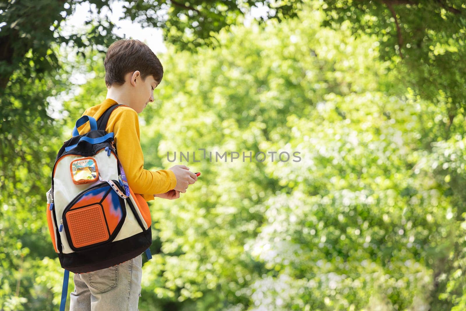 Back view of teenager walking in park with smatphone. Typing text, sms, messaging or do a video call.
