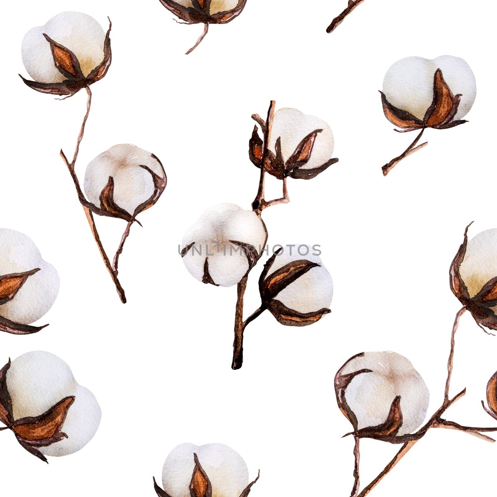 Delicate cotton bud flowers watercolor drawing seamless pattern on white background. Botanical elegant eco illustration