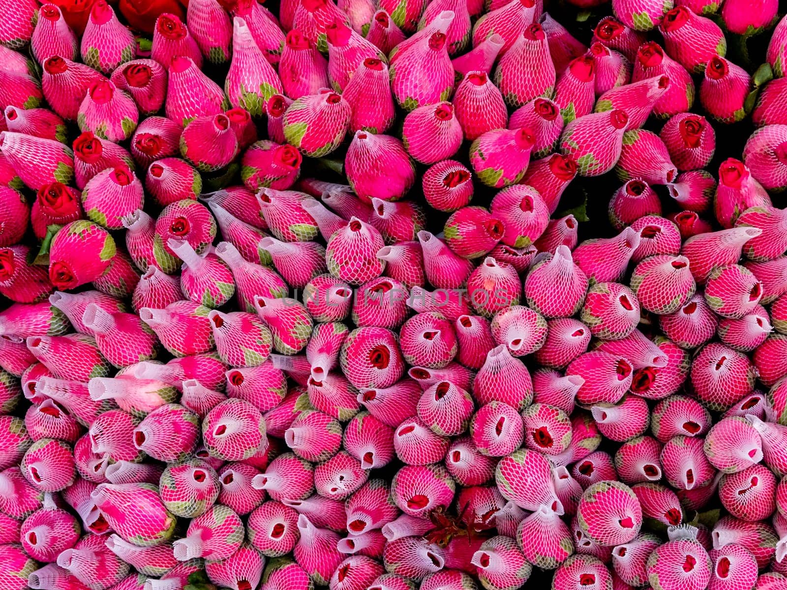 Full-frame close-up of stack of rose flower by Satakorn