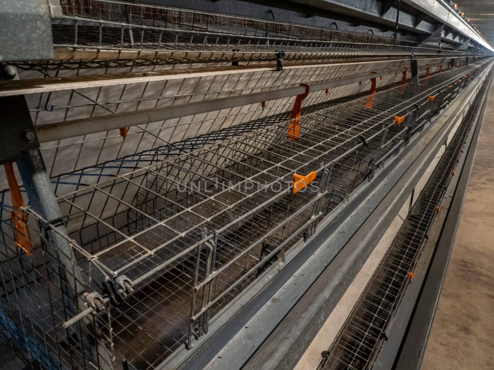 The empty laying cages in the chicken farm