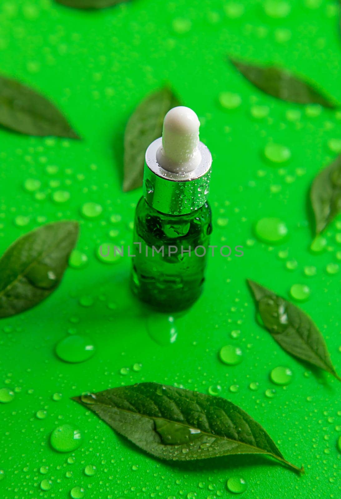 Drops of oil pipette on green leaves background. Selective focus. Nature.