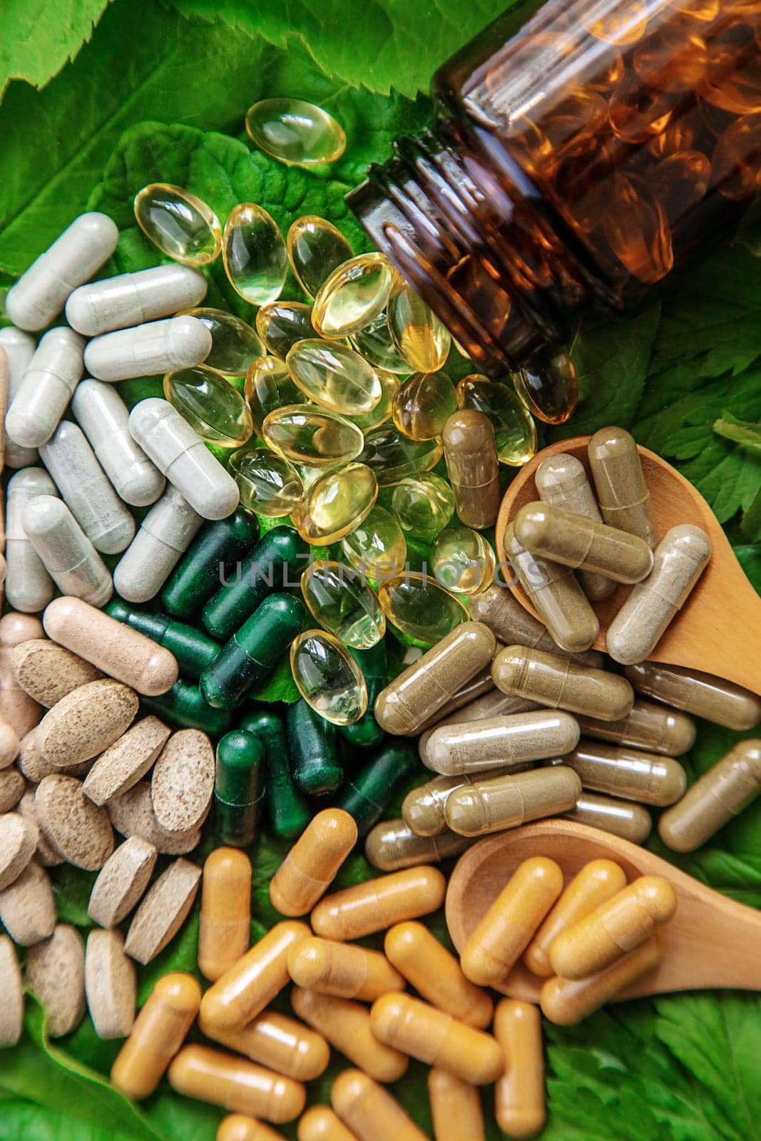 Capsules herb supplements on green leaves background. Selective focus. Green,