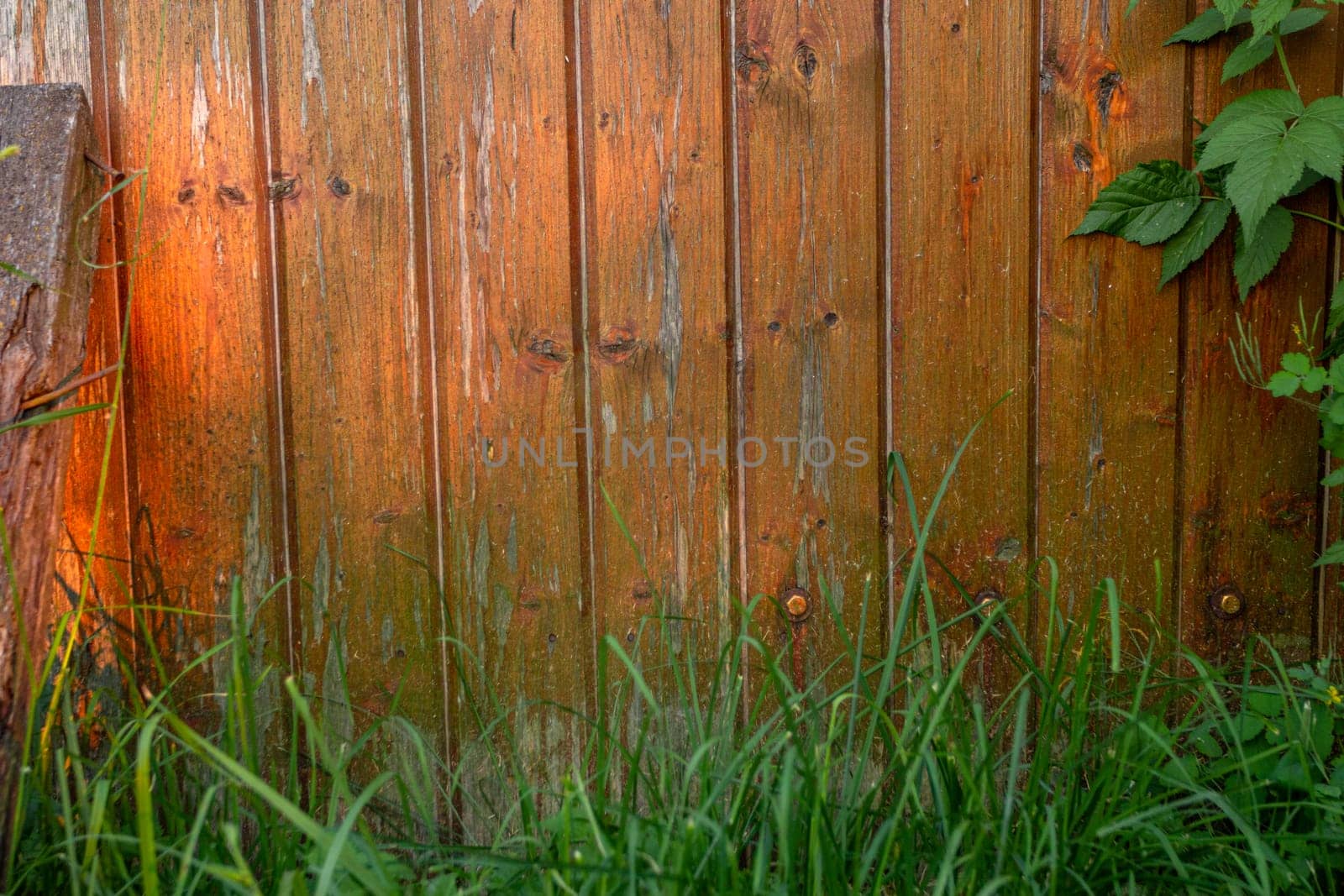 Wooden brown fence and green grass. Peeling paint on the fence. Rural landscape. Country life.