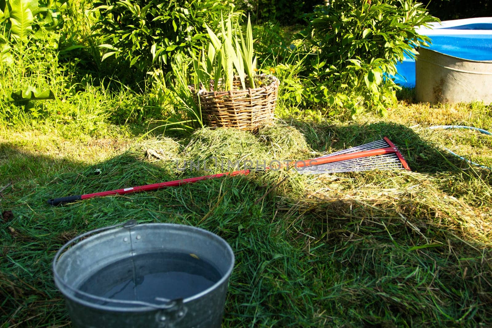 Aluminum bucket with water and red rake. House cleaning. Grass mowing. Natural farming.
