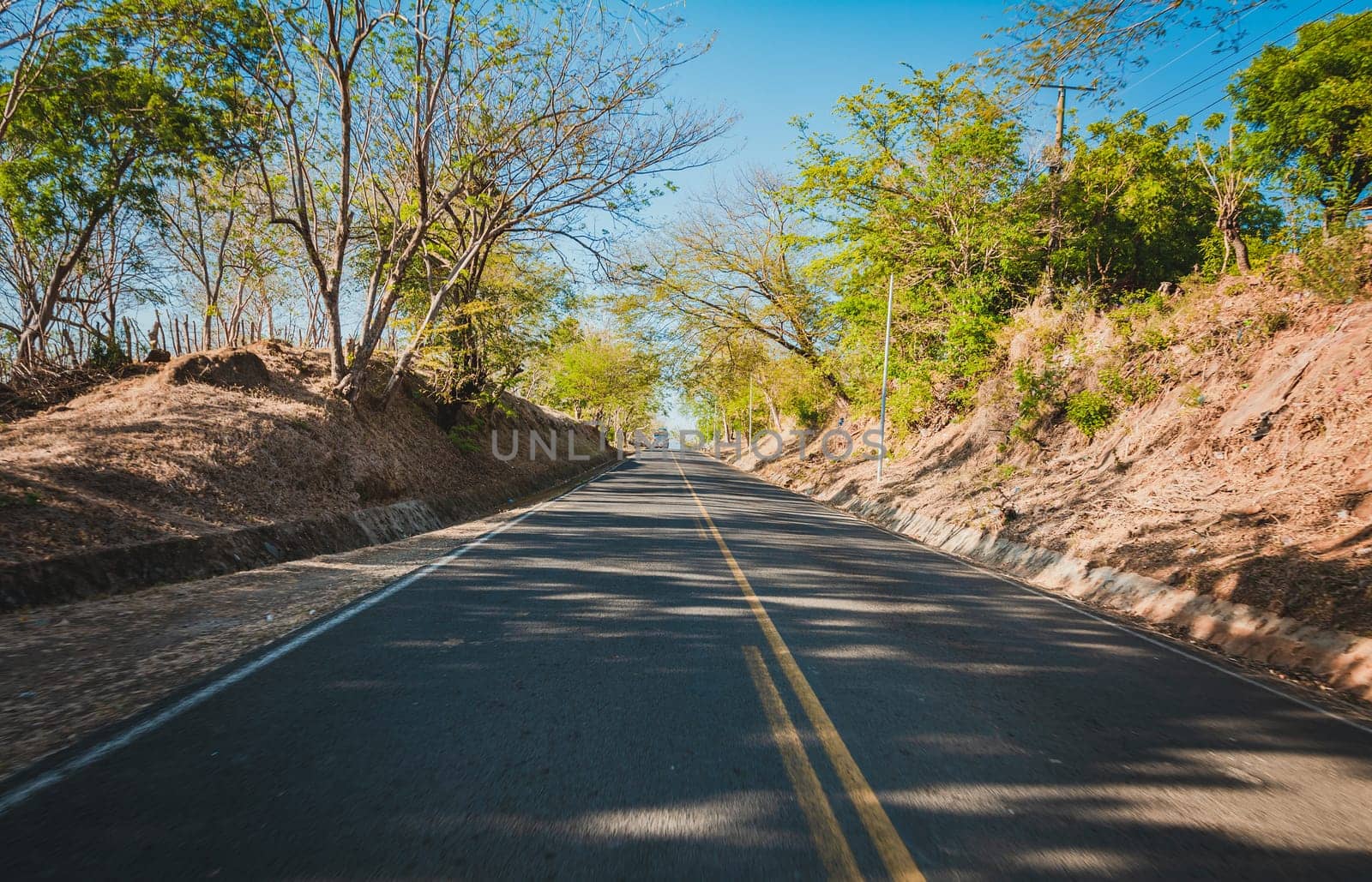 Beautiful road surrounded by trees with a bus on the road, View of a paved road surrounded by trees at sunset. Concrete road surrounded by trees and branches by isaiphoto