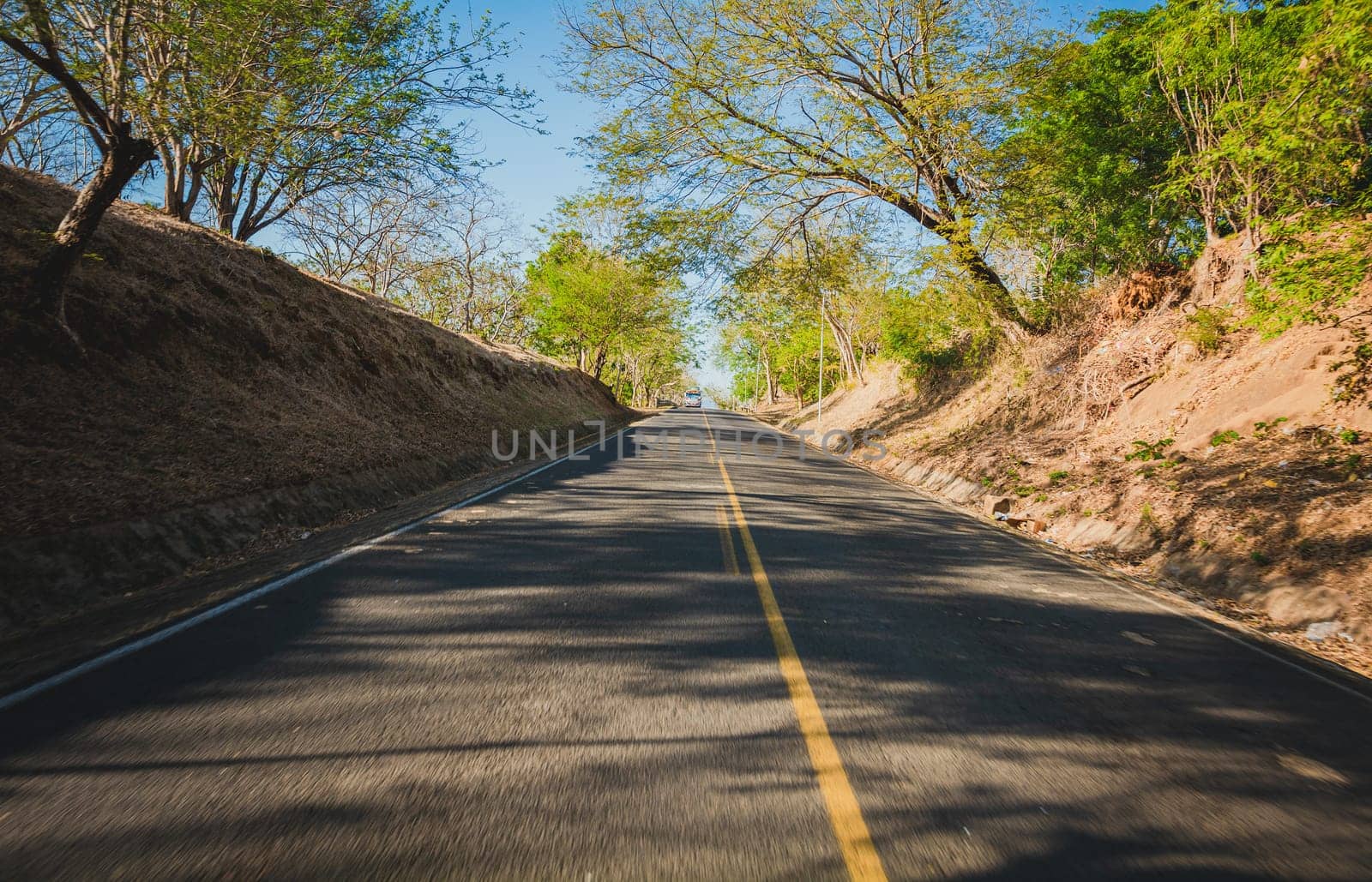 Asphalt road surrounded by trees with a bus on the road, View of a paved road surrounded by trees at sunset. Concrete road surrounded by trees and branches by isaiphoto