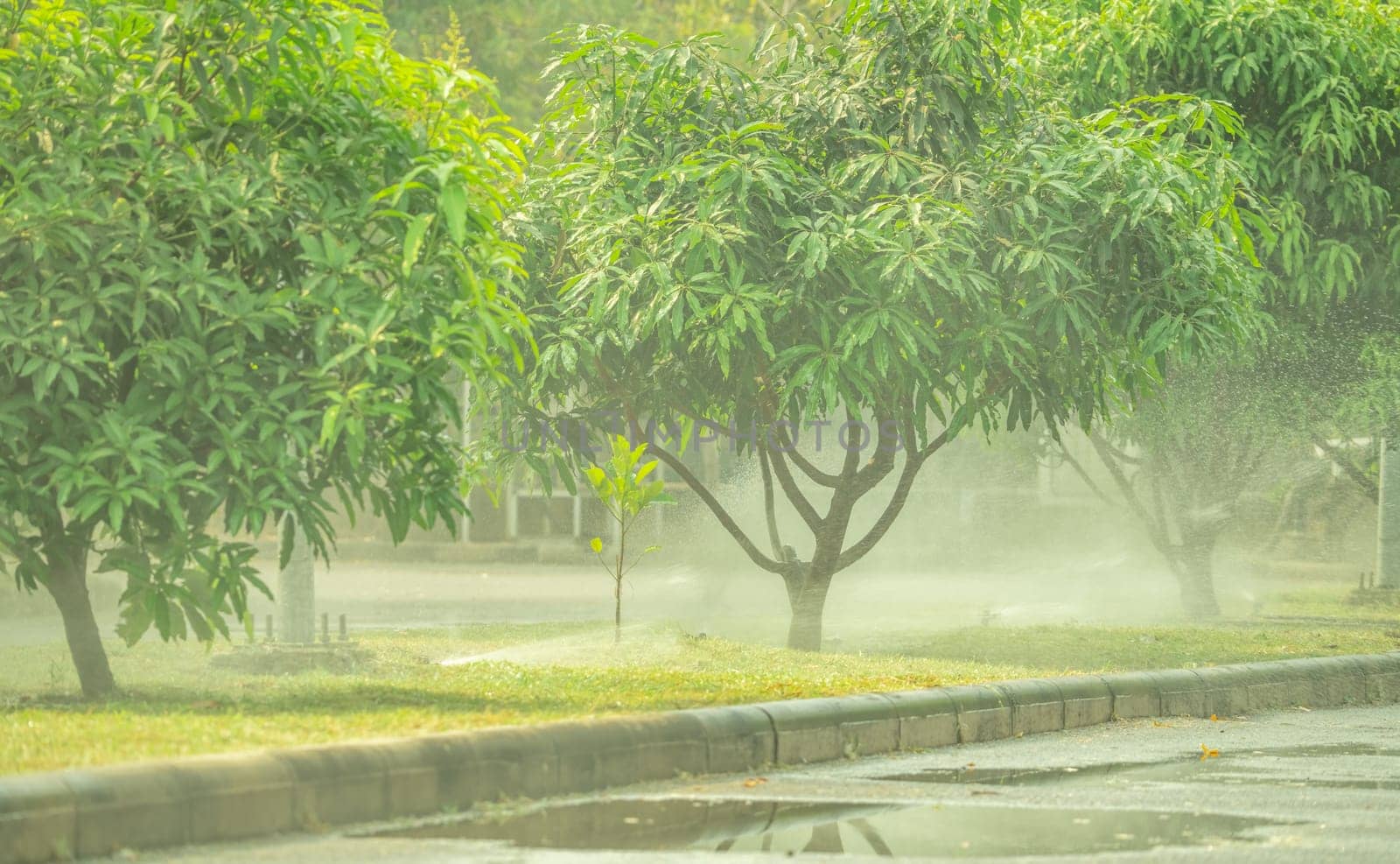 Automatic lawn sprinkler watering green grass on sunny summer days. Sprinkler with automatic system. Garden irrigation system watering lawn. Sprinkler service and maintenance. World environment day.