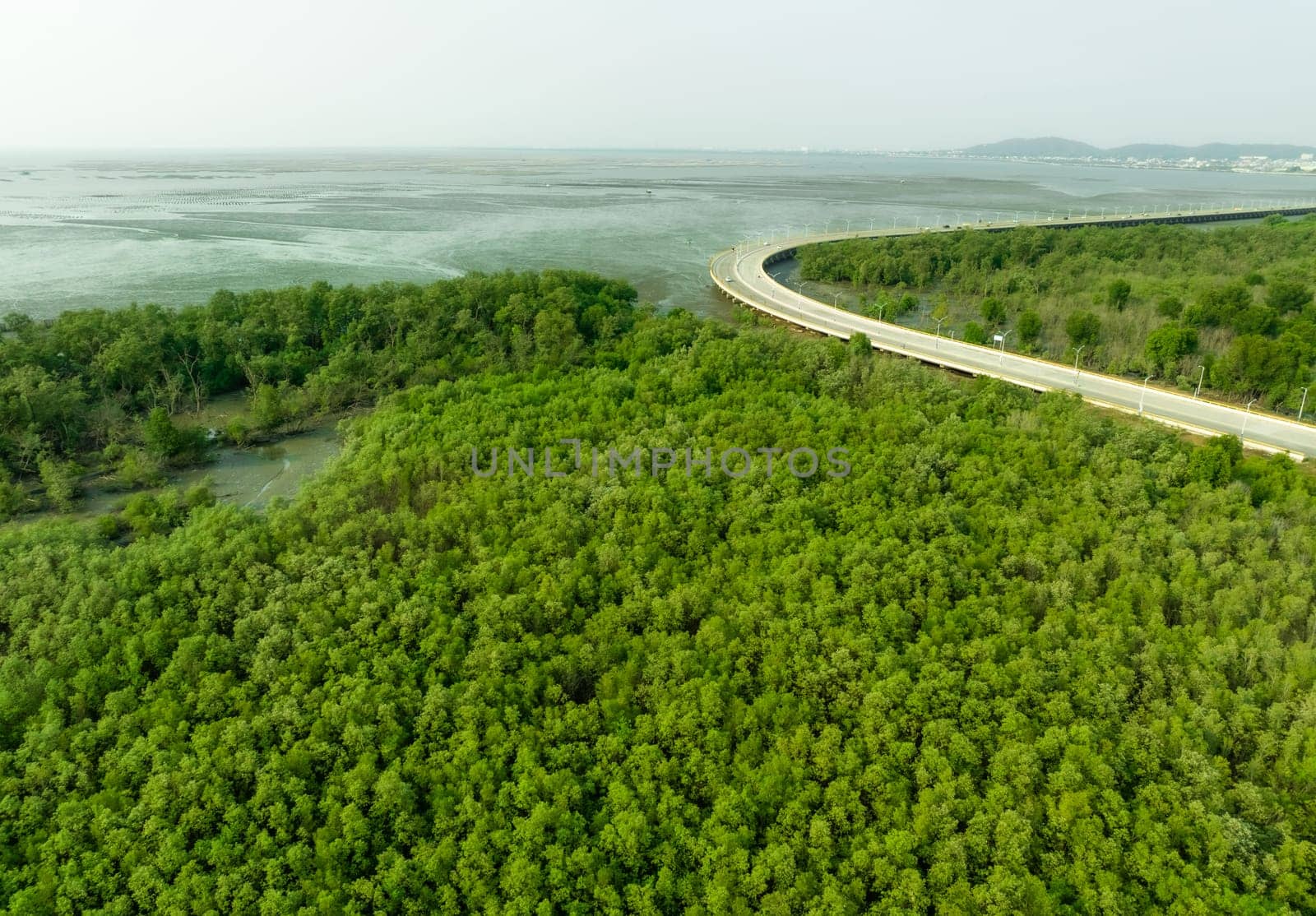Green mangrove forest capture carbon dioxide. Net zero emissions. Mangroves capture CO2 from atmosphere. Blue carbon ecosystems. Aerial view mangrove trees and mudflat coastal. Natural carbon sinks. by Fahroni