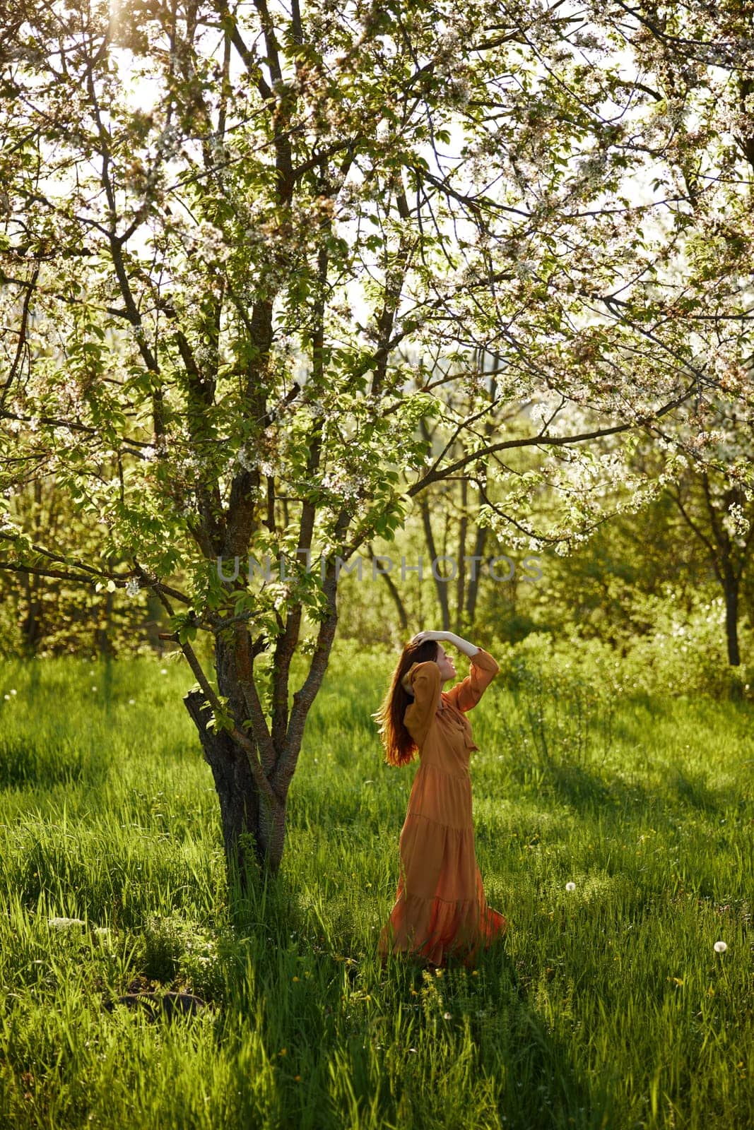 a beautiful, joyful woman stands in a long orange dress near a tree blooming with white flowers during sunset, illuminated from the back and holding her hands near her head looking away by Vichizh