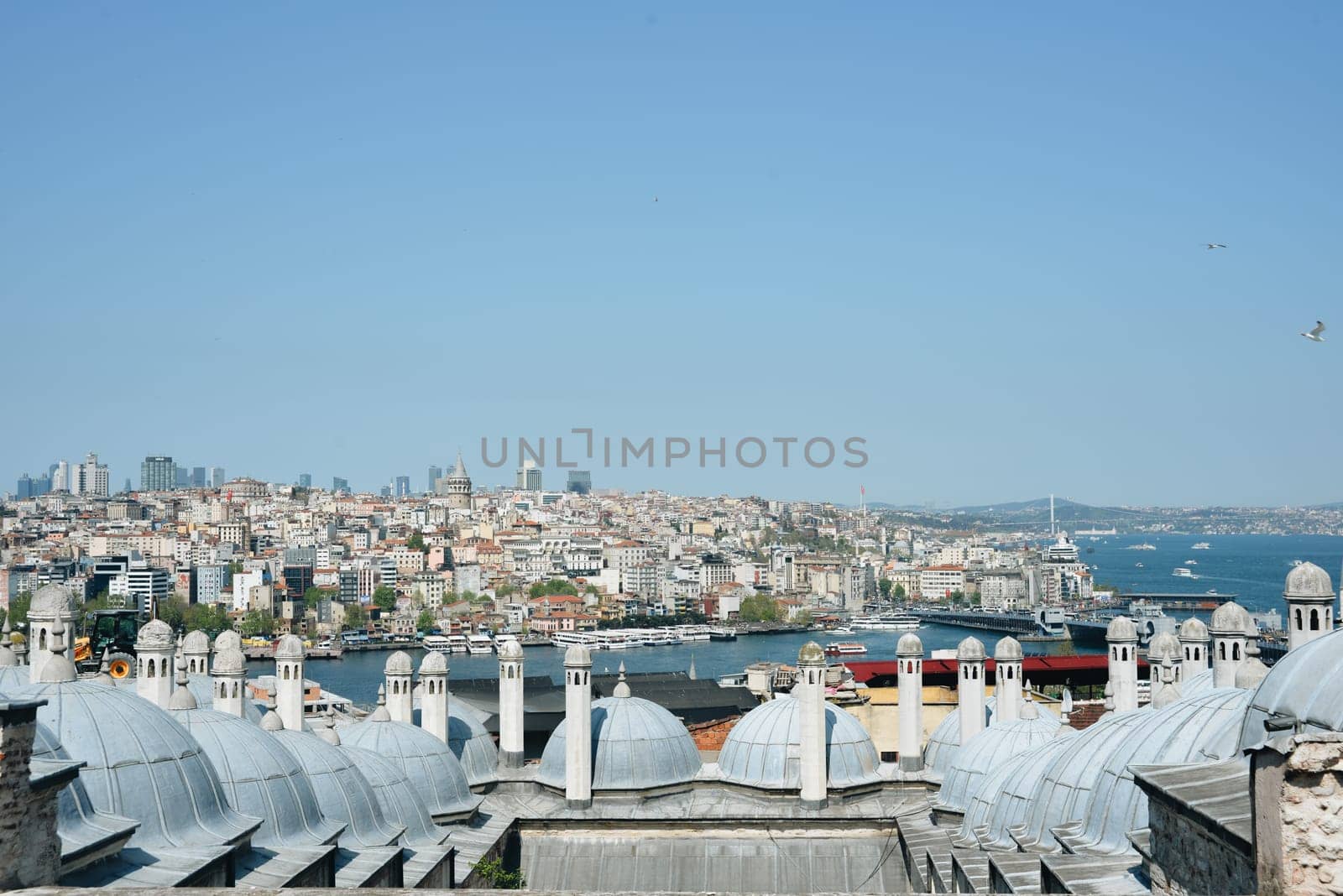 Istanbul, Turkey, May 02, 2023: View from Suleymaniye mosque on the Bosphorus by Ekaterina34