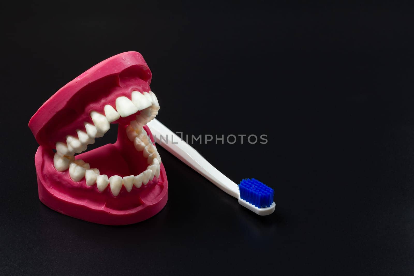 Human jaw layout and the toothbrush on the black background.