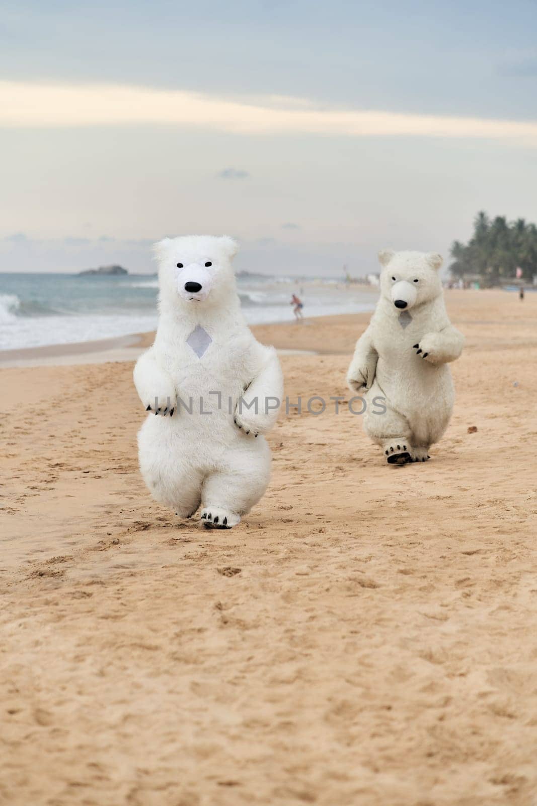 Animators dressed as polar bears entertain people on the beach. High quality photo