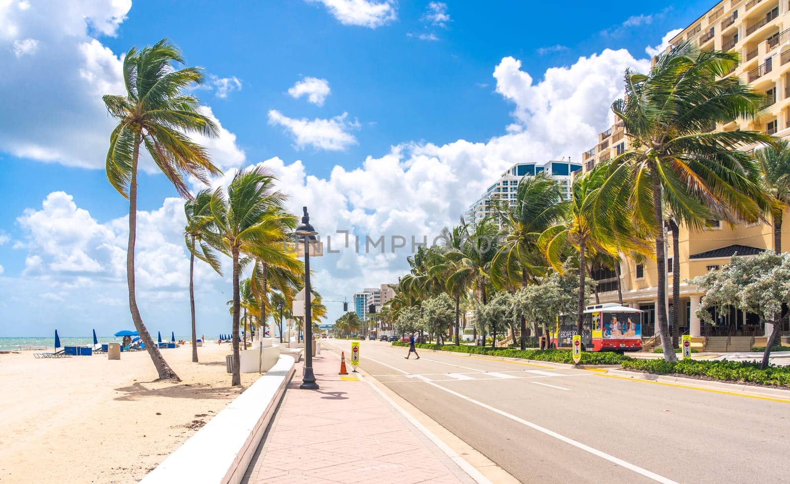Beach promenade with palm trees on a sunny day in Fort Lauderdale by Mariakray