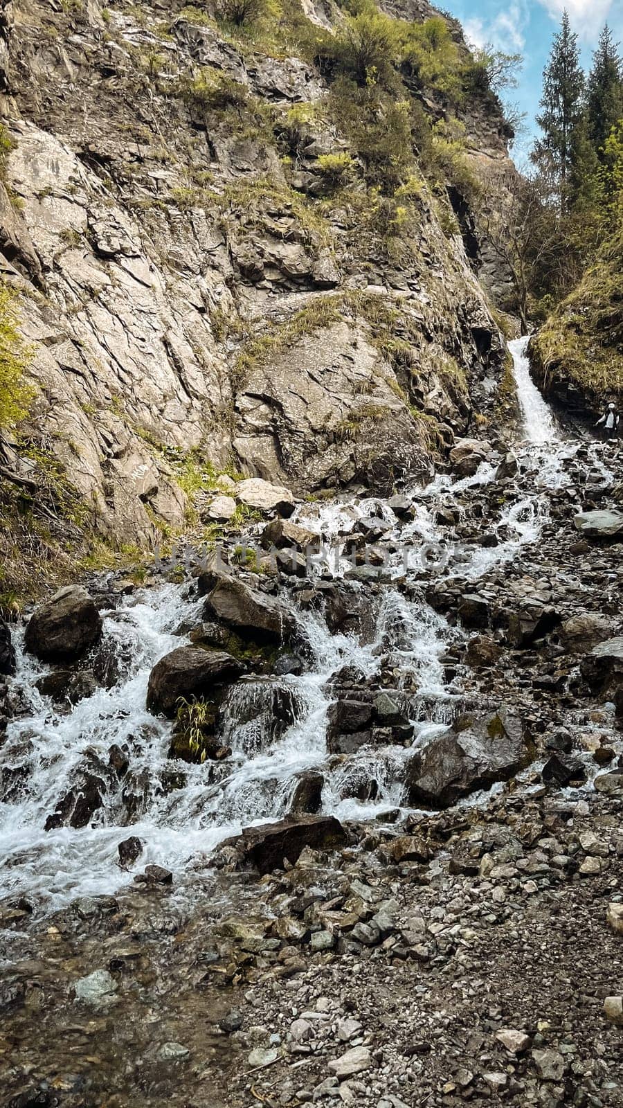 mountain river among rocks on a summer day.