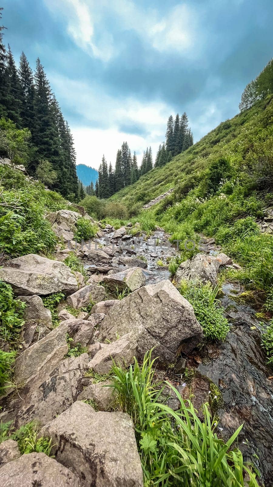 mountain river among rocks on a summer day.