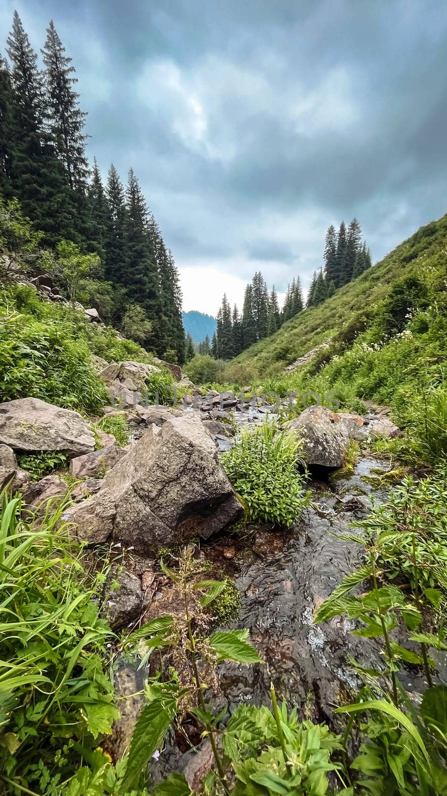 mountain river among rocks on a summer day by Pukhovskiy