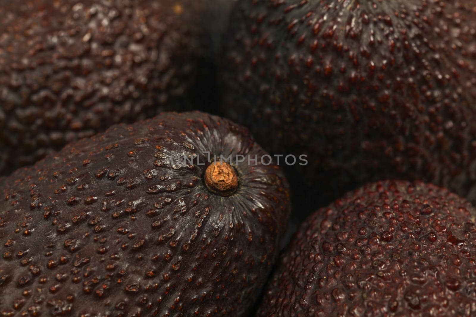Closeup of dark ripe avocado skin.