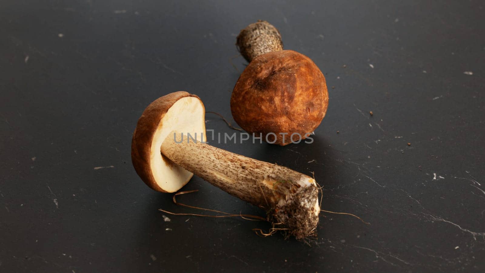 Two birch bolete (scaber stalk) mushrooms on black marble board.