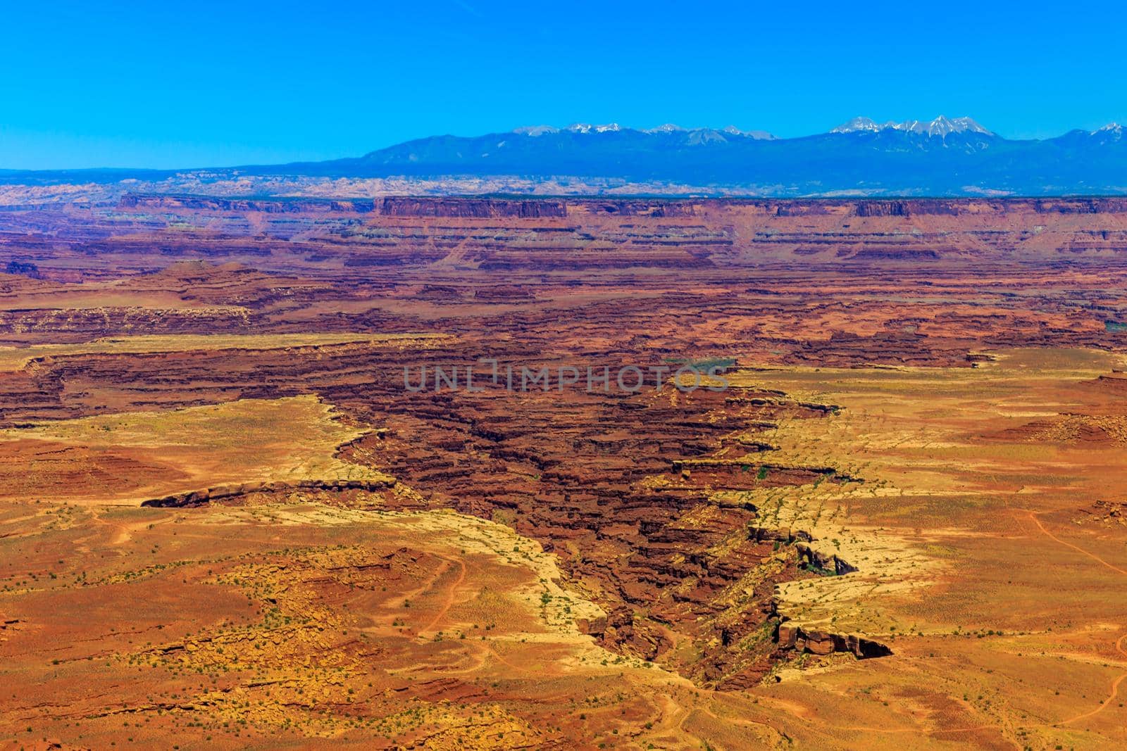 Canyon in Canyonlands National Park by gepeng