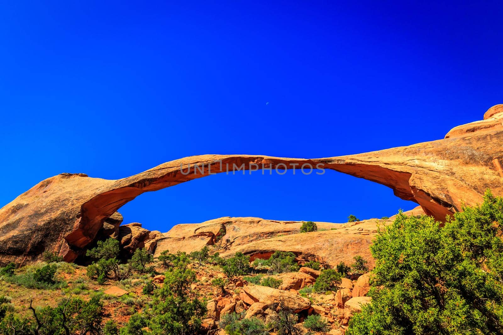 Landscape Arch in Arches National Park, Utah