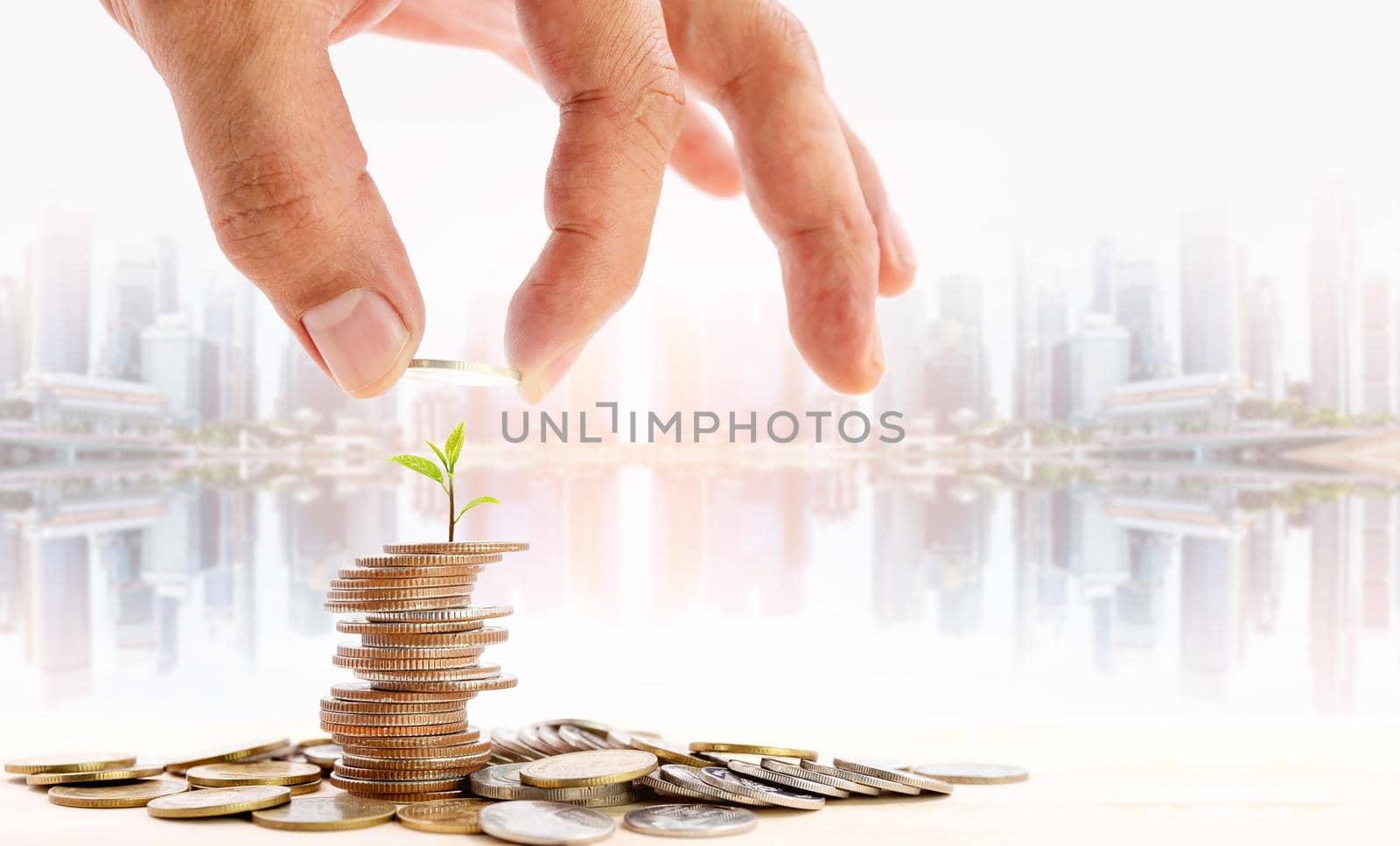 Human hand placing a coin on a pile of coins with a small tree on top with blurred skyscraper background, use for business and financial growth concepts.