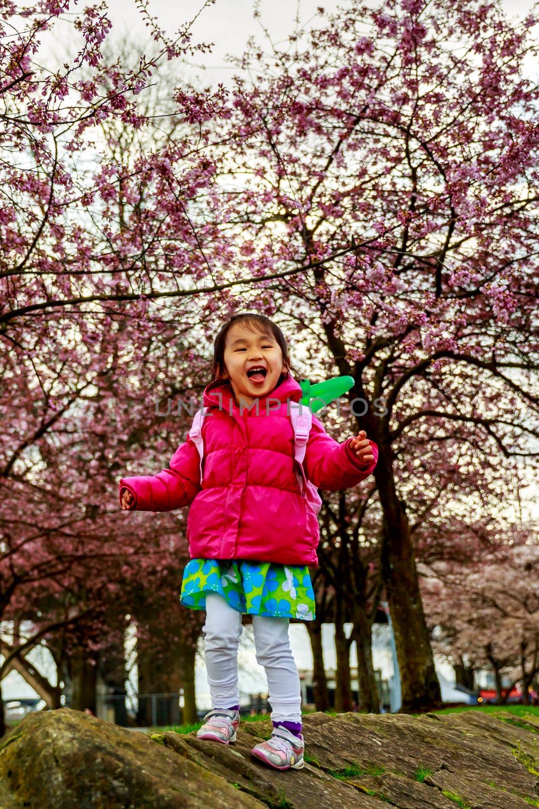 Adorable girl smiles in the woods, play in front of cherry trees