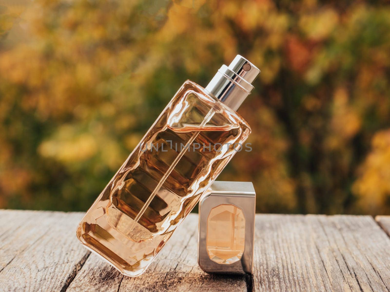 Minimalistic packing, branding. Perfume glass bottle on a autumn blurred background. Toilet water, still life. Flat lay composition, decoration design. Soft focus. Sales and beauty business concept.