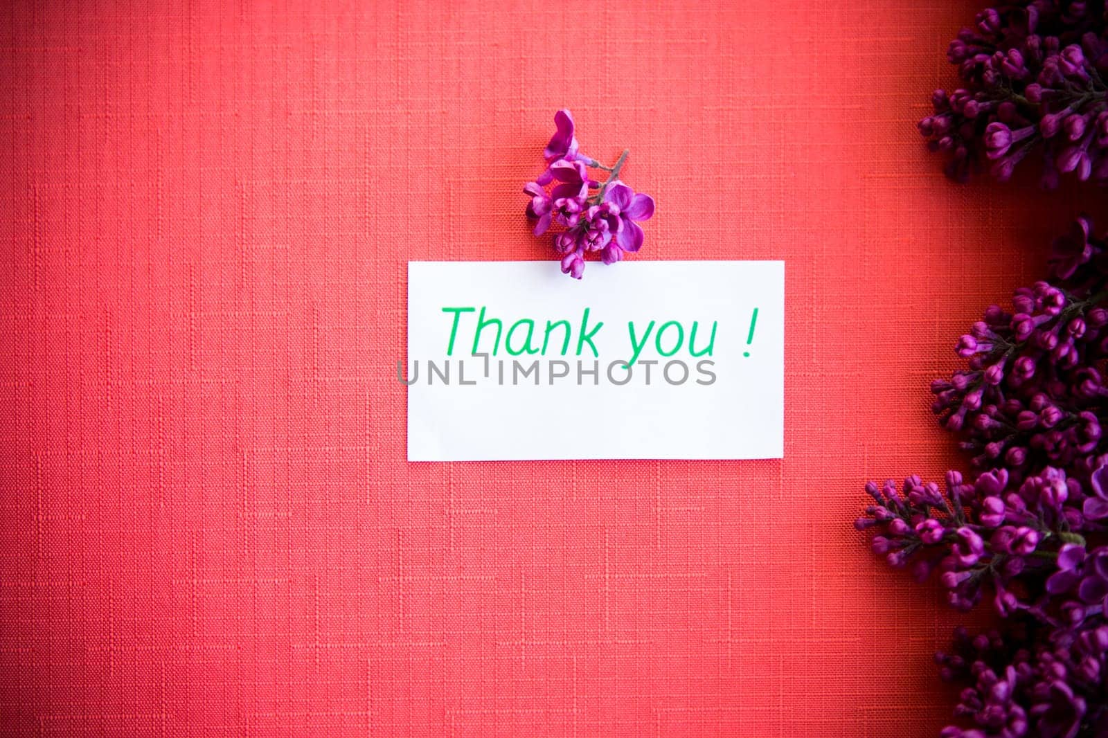 red background with branches of blooming beautiful lilac, with a greeting card.