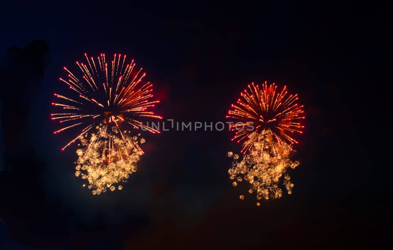 Two red fireworks and two beautiful orange fireworks in the night sky. by andre_dechapelle