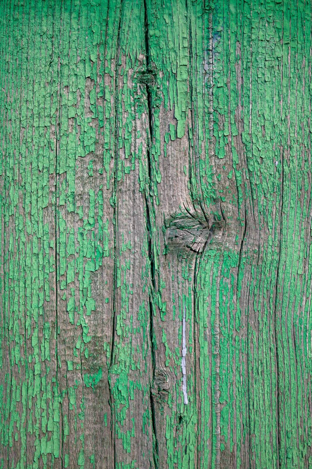 Wood texture with green flaked paint. Peeling paint on weathered wood. Old cracked paint pattern on rusty background. Chapped paint on an old wooden surface