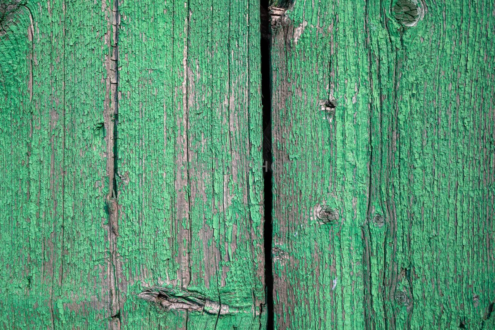 Wood texture with green flaked paint. Peeling paint on weathered wood by AnatoliiFoto