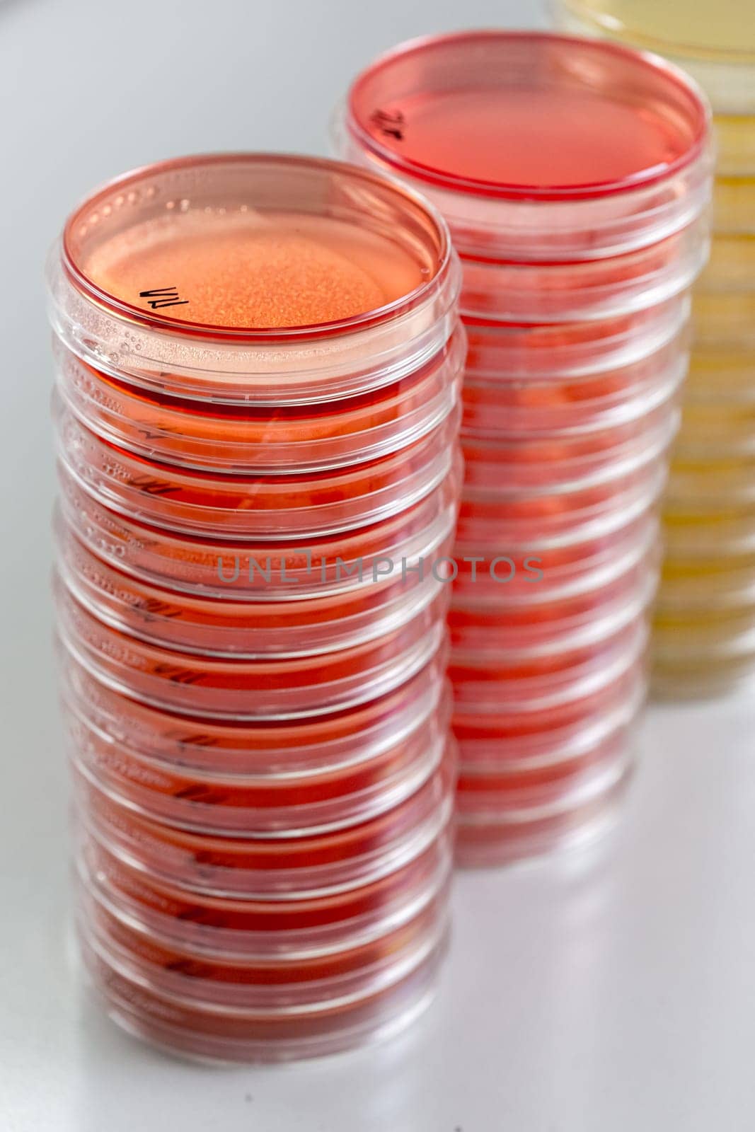 Red and yellow petri dishes stacks in microbiology lab on the bacteriology laboratory background. Focus on stacks.