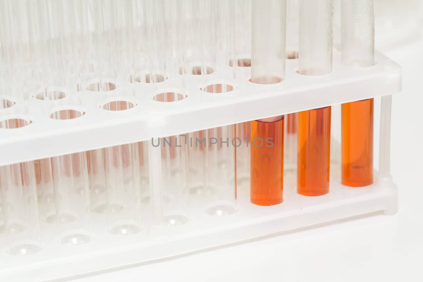 Laboratory glass test tubes filled with orange liquid for an experiment in a science research lab. Analyzes