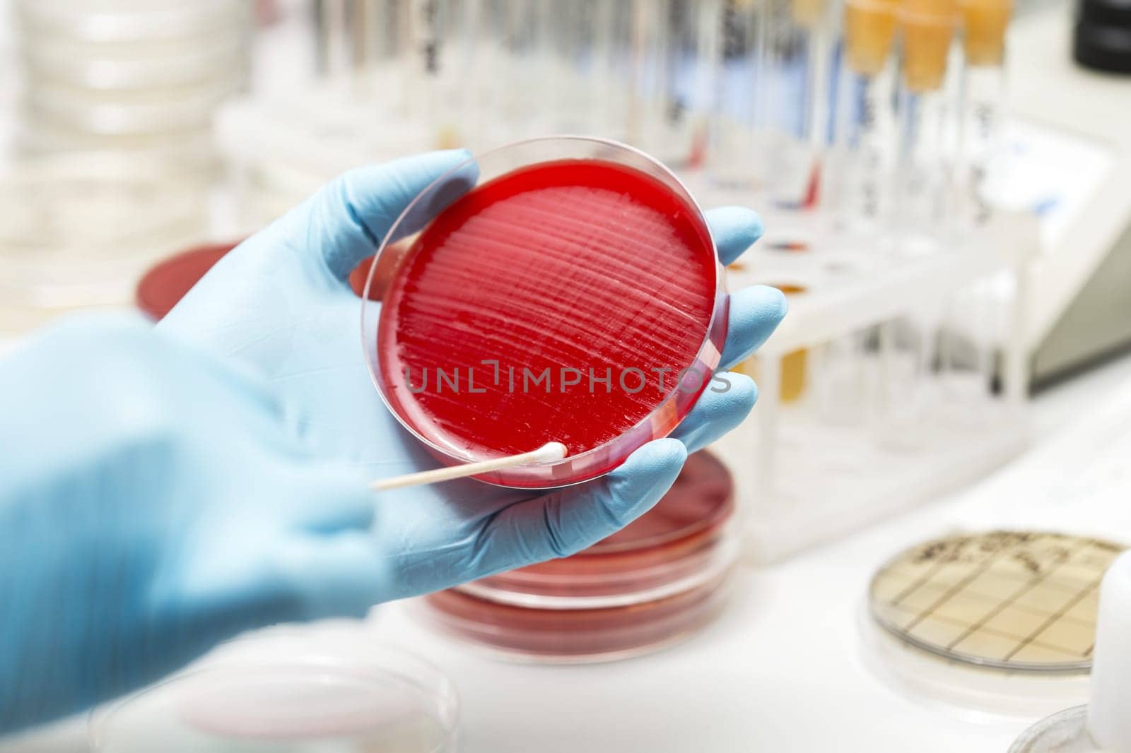 lab technician hand planting a petri dish. Laboratory, research, analysis. Close-up