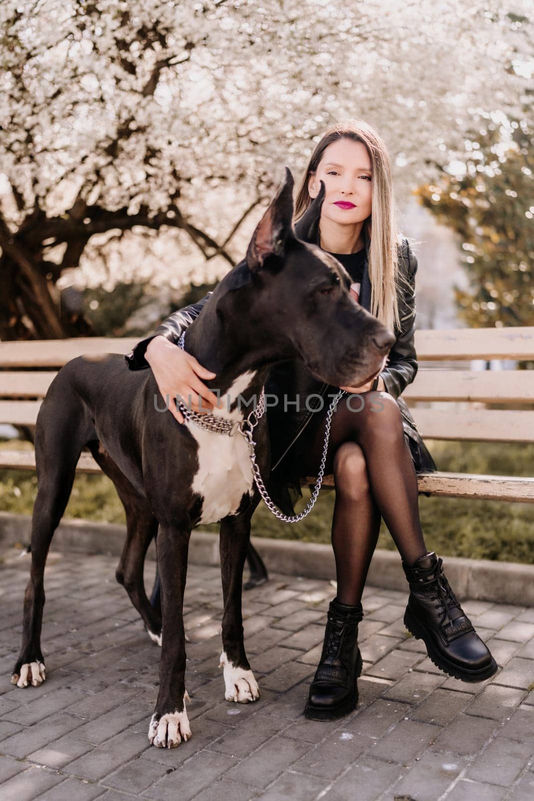 A woman walks with her Great Dane in an urban setting, enjoying the outdoors and the company of her dog