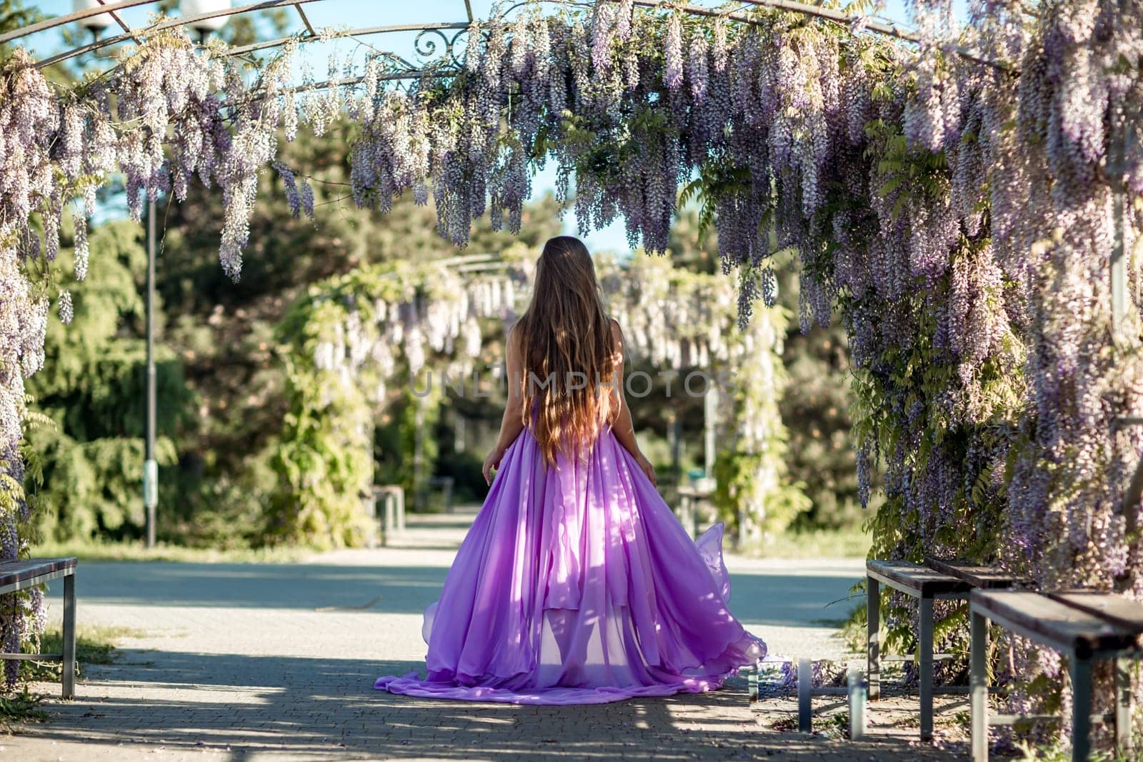 Woman wisteria lilac dress. Thoughtful happy mature woman in purple dress surrounded by chinese wisteria.