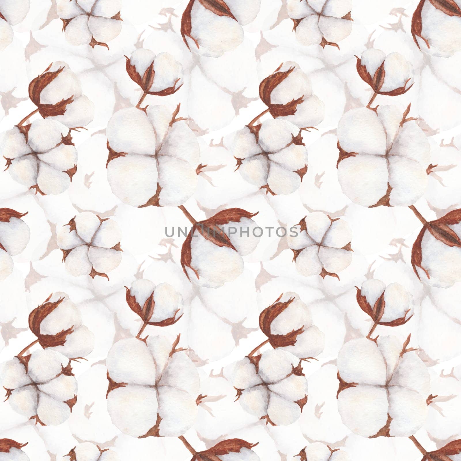 Cotton bolls watercolor hand drawn seamless pattern. Botanical illustration isolated on white background for design, textil, paper, wallpaper