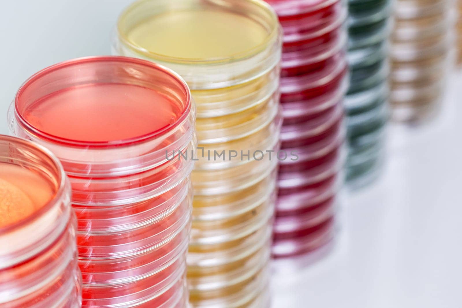 Petry dishes on laboratory table. Research, analysis. Close-up